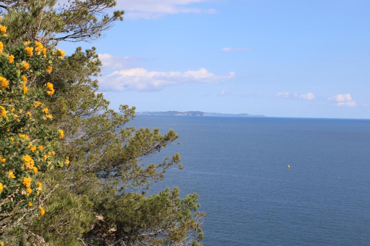 Studio L'Echappee Mandreenne Le Calme Entre Mer Et Foret Saint-Mandrier-sur-Mer Exterior foto